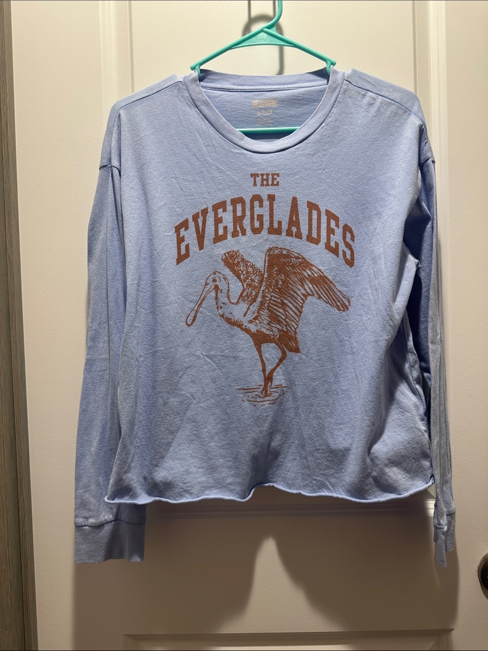 The Everglades Graphic Long Sleeve Tee - Light Blue
